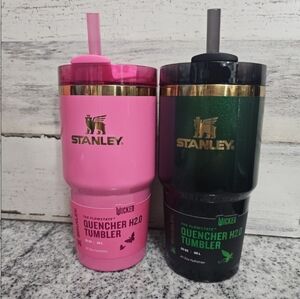 Stanley Elphaba & Glinda 20oz Tumbler Set